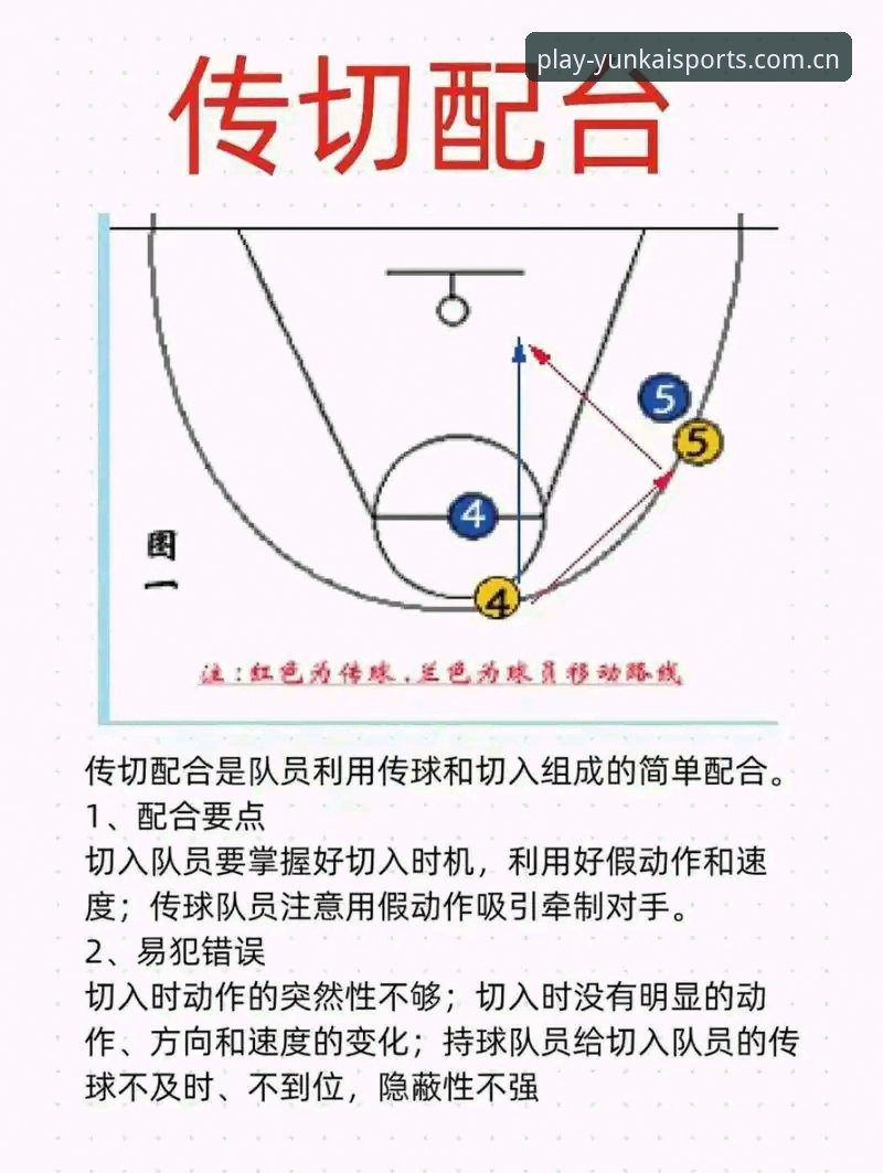 如何全面掌握云开体育竞技魅力使用指南？从安全验证到实战操作的深度解析